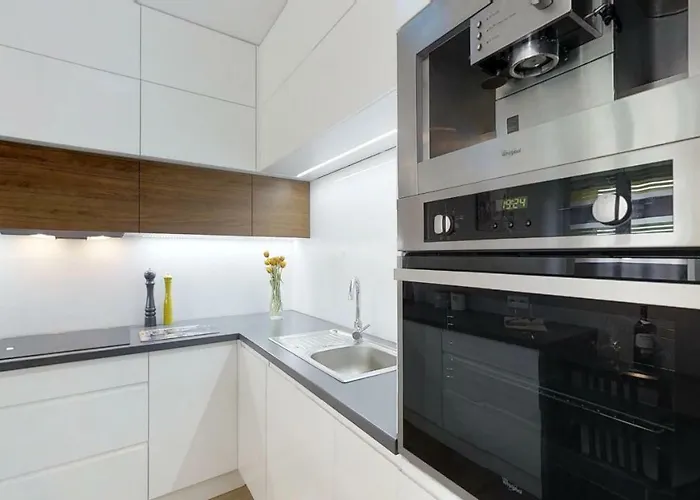 Daire Amsterdam Nad Odra By The River Tectumapartments Wroclaw